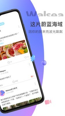 Walsea社交平台下载-Walsea社交平台App下载v1.0.1