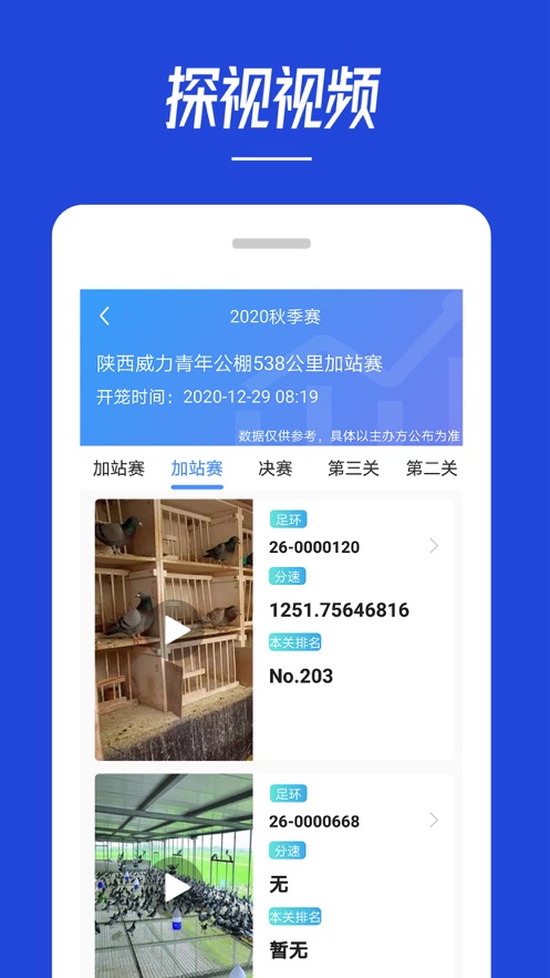 青鸽网app下载-青鸽网软件最新版下载v3.7.1