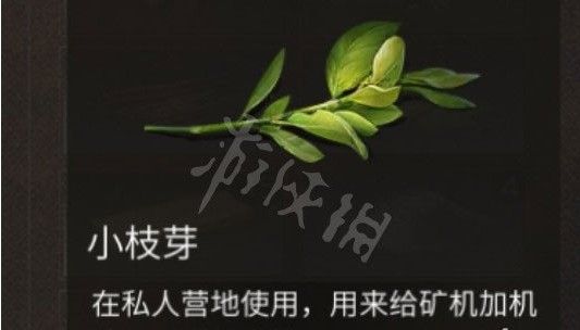 明日之后小枝芽怎么获得 明日之后小枝芽快速获得方法[图]