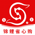 锦鲤省心购手机版app